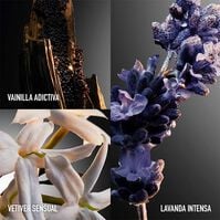 PHANTOM INTENSE  100ml-218795 PHANTOM INTENSE  100ml-218795 2